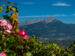 Appartamento per vacanze Algund Ambiente 35