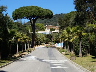 Appartamento per vacanze Grimaud Caratteristiche 17