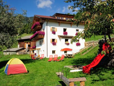 Ferienwohnung Steierhof