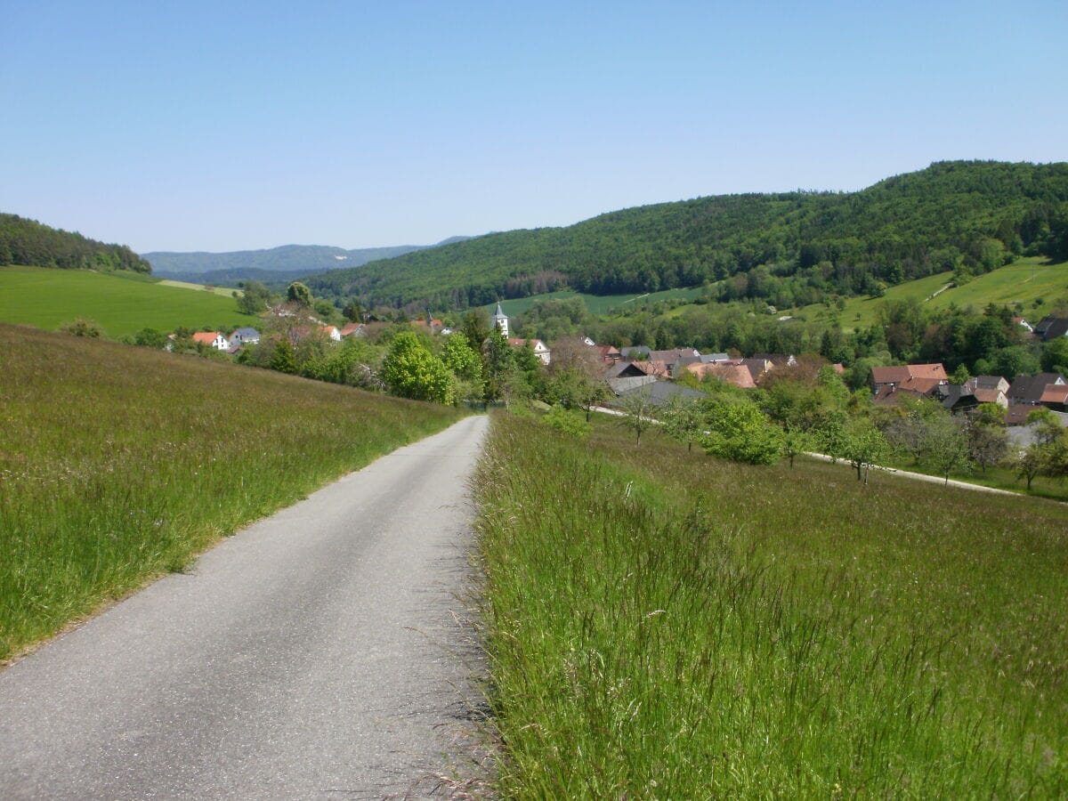 Blick auf Schwaningen / Tal