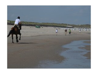 Am Nordstrand