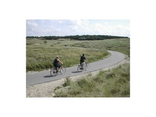 Vakantieappartement Julianadorp Omgeving 15