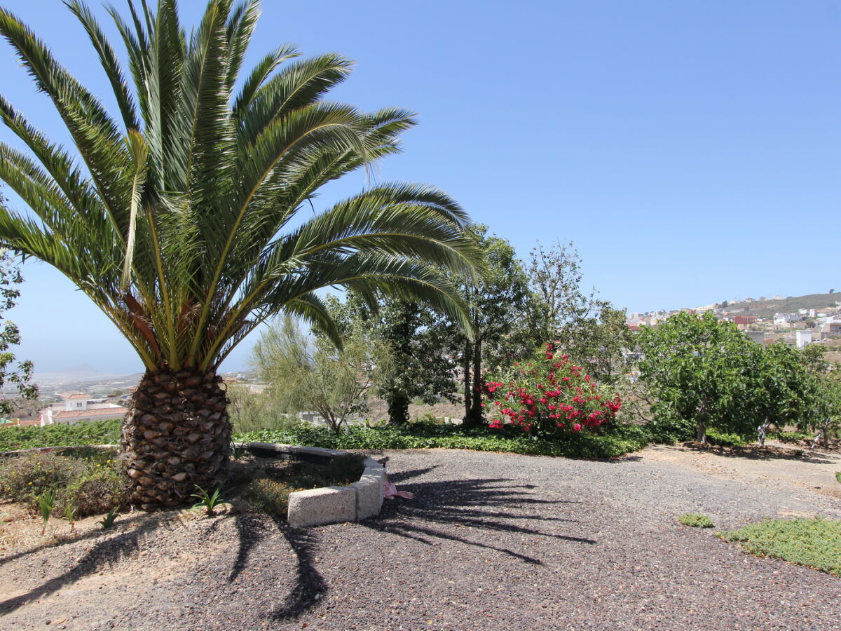 Der Garten der Finca Madera