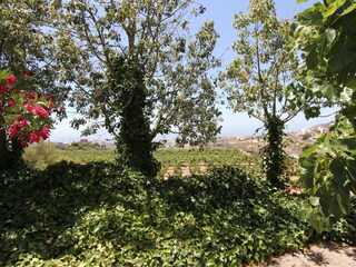 Casa per le vacanze San Isidro Ambiente 25