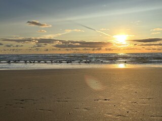 Vakantiehuis Callantsoog Omgeving 28