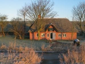 Ferienhaus Deichurlaub - Tetenbüll - image1