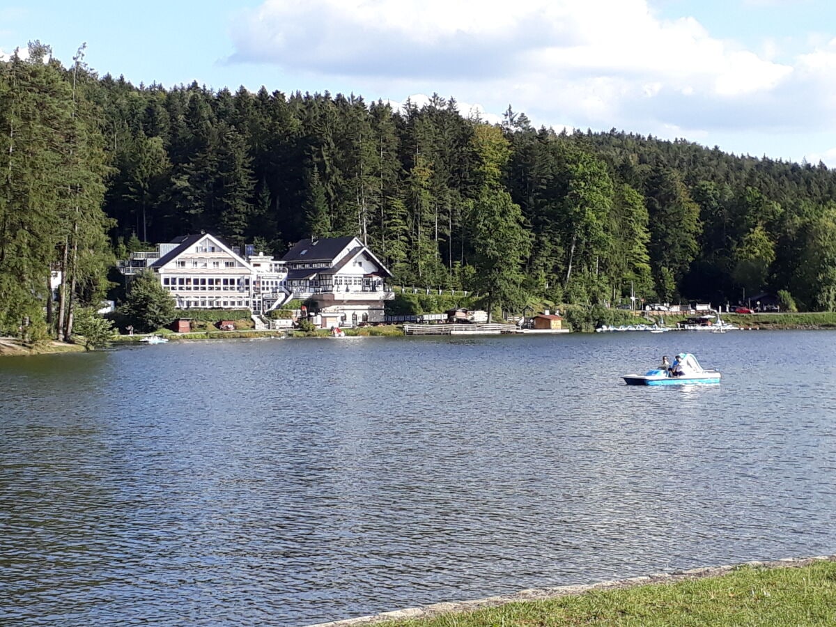 Ebnisee