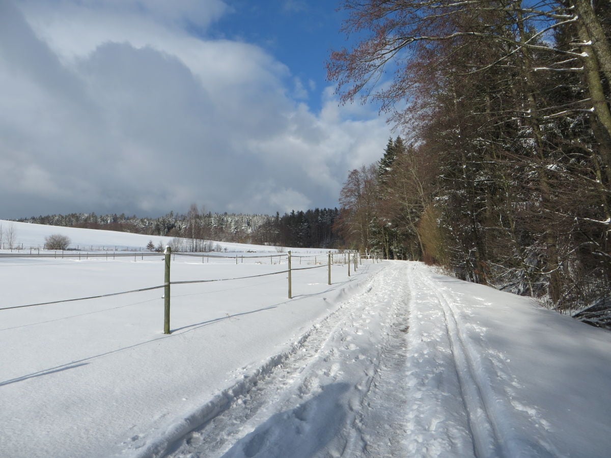 Winterlandschaft