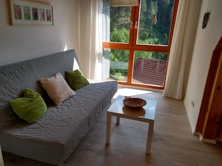 Schlafen 1 Zustell/Ausziehsofa