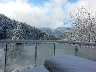 Casa per le vacanze Hornberg Registrazione all'aperto 7