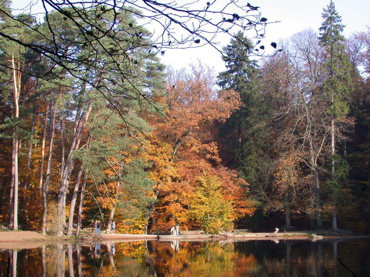 Ferienwohnung Am Waldsaum, Detmold, Frau Helga Beutke