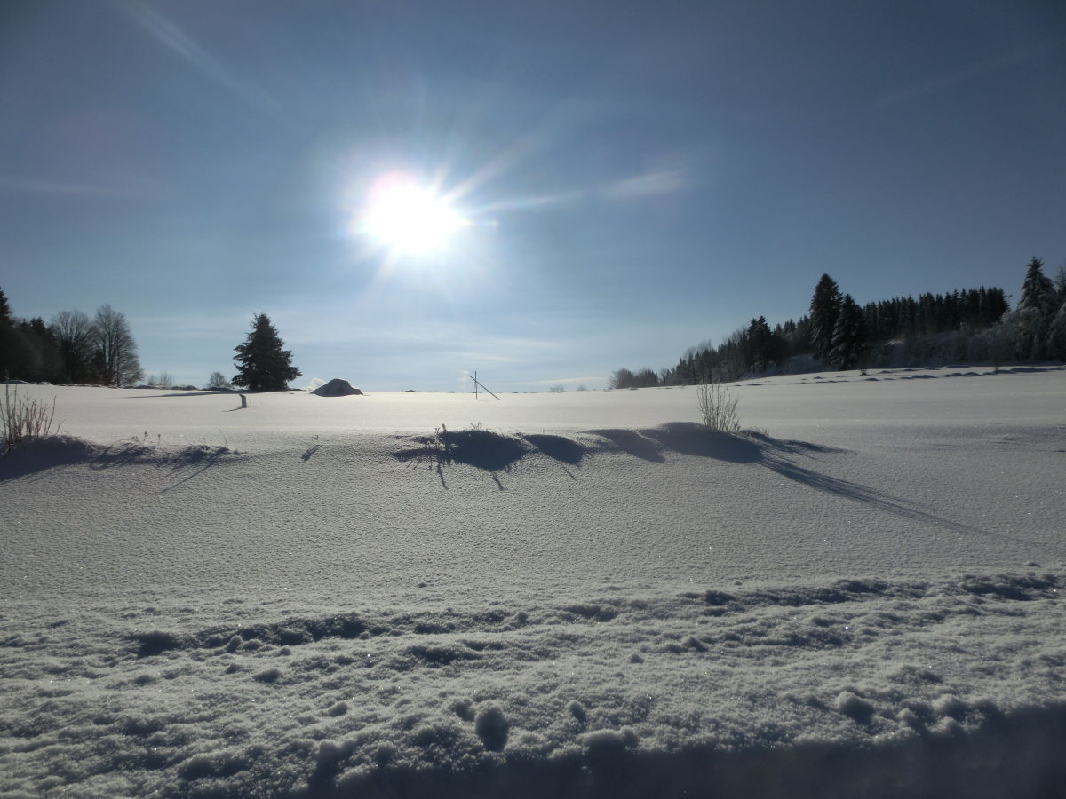 Traumhafte Winterlandschaft