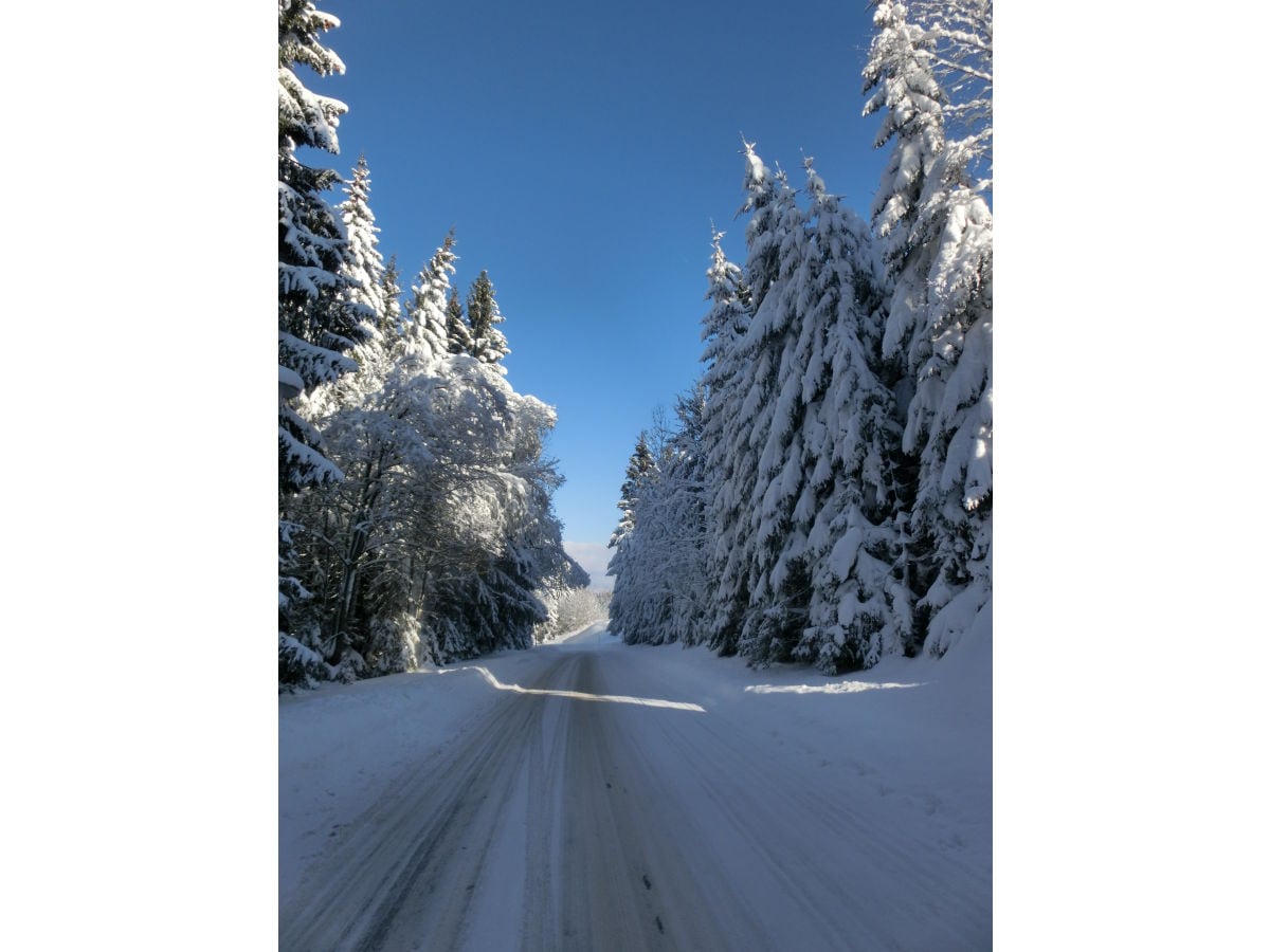 Romantischer Winterspaziergang