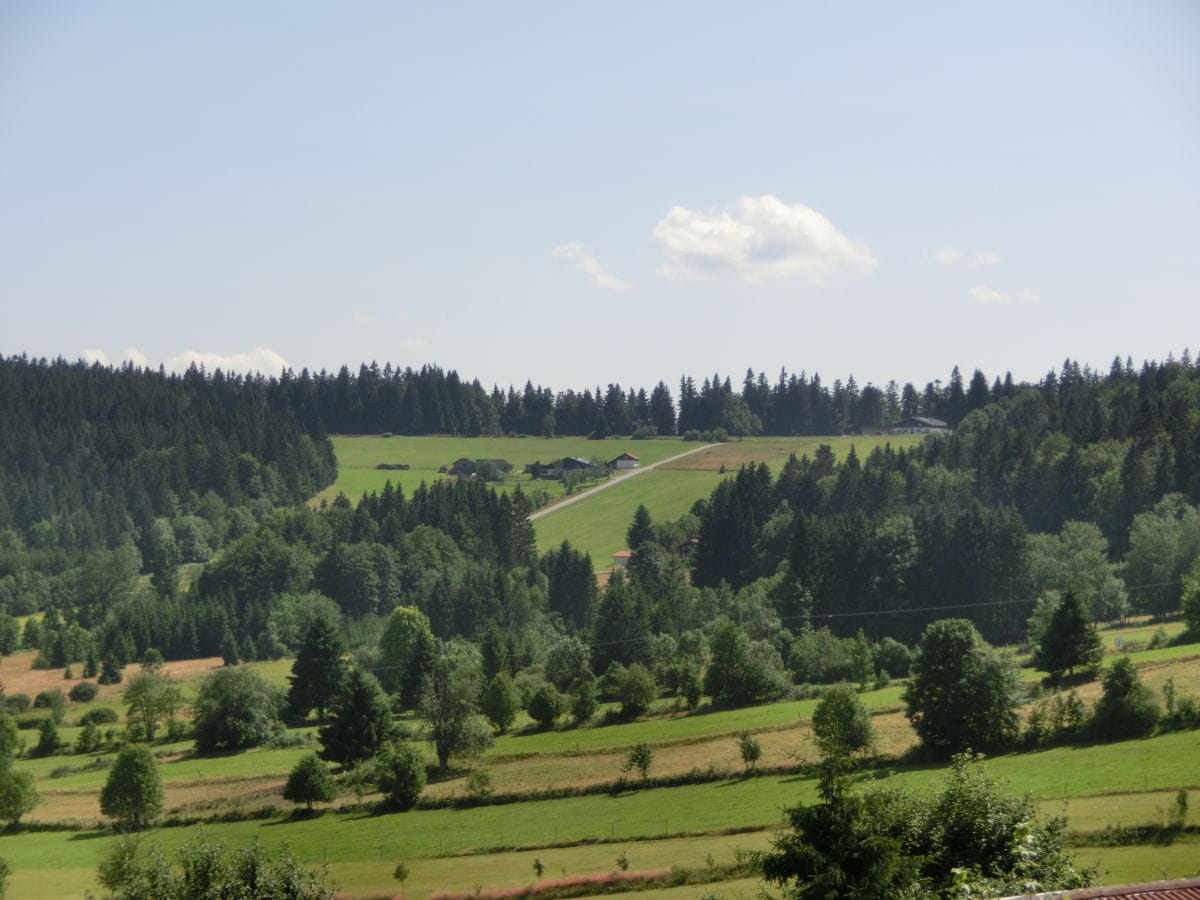 Weitläufiger Blick auf die Wiesen, Felder und Wälder.