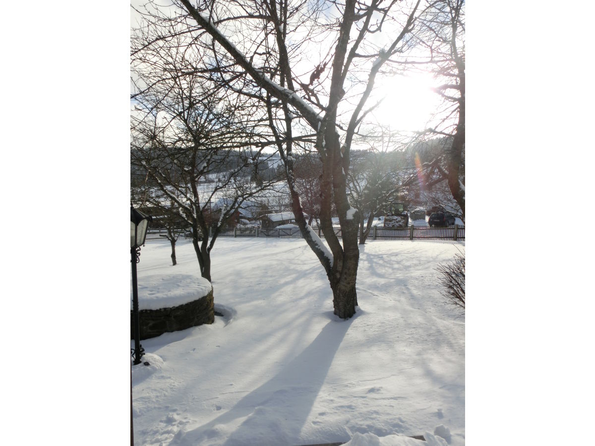 Der Garten im Wintermantel