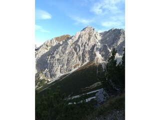 Seinskopf