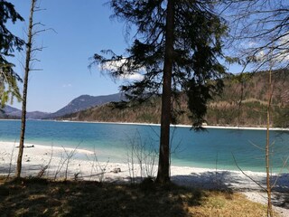 Am Walchensee