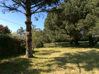 Casa per le vacanze Trégunc Registrazione all'aperto 4