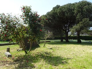 Casa per le vacanze Trégunc Registrazione all'aperto 5