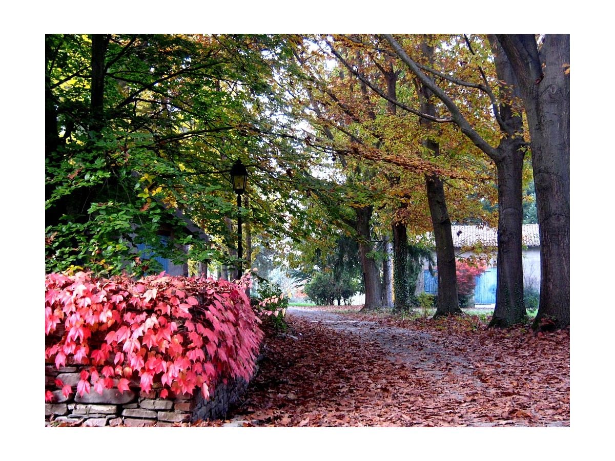 Herbst-Impressionen der Parkanlage