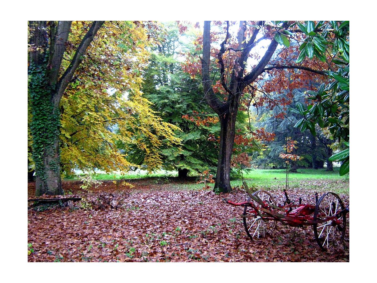 Herbst-Impressionen der Parkanlage