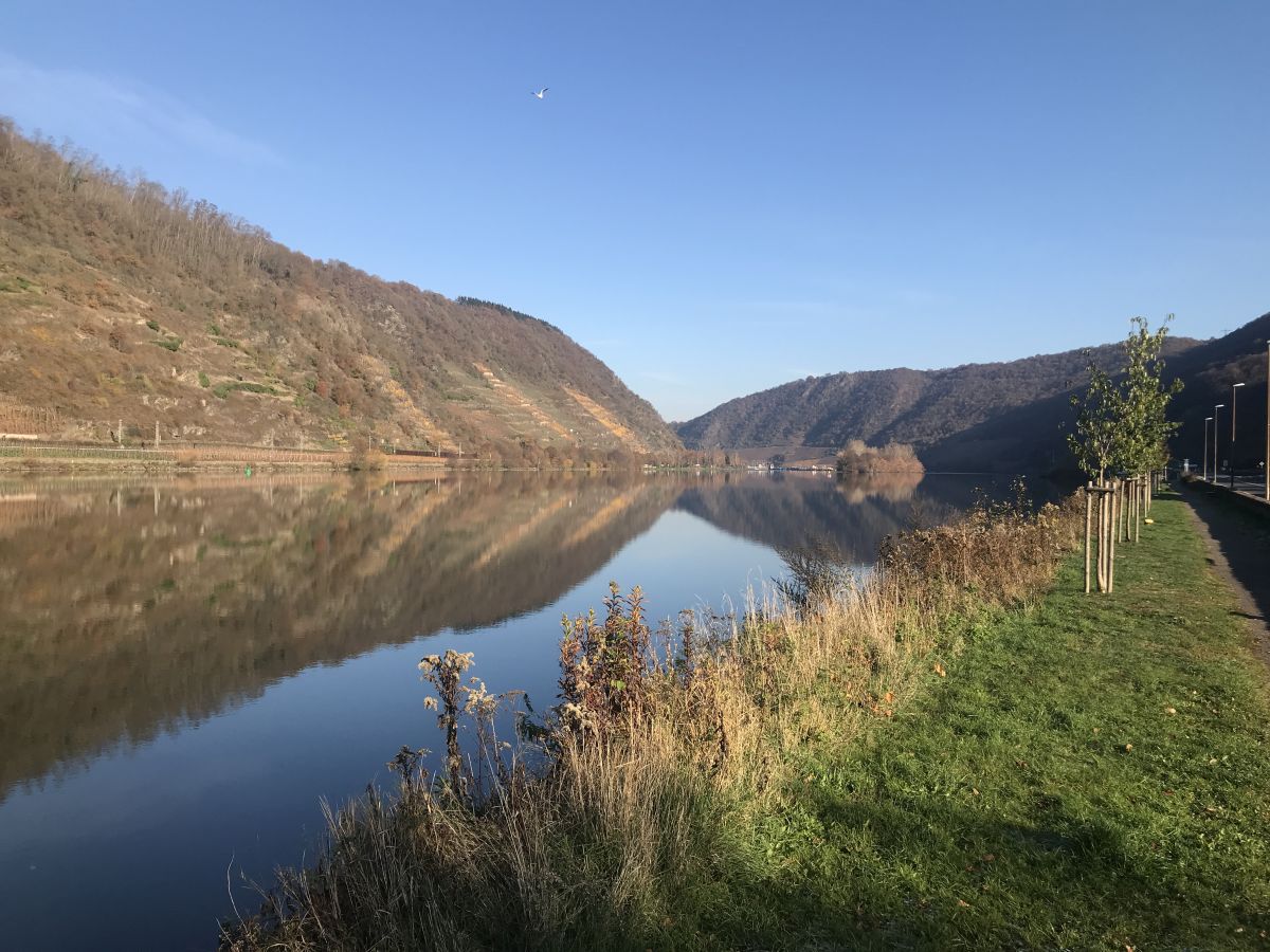 Mosel vor Oberfell