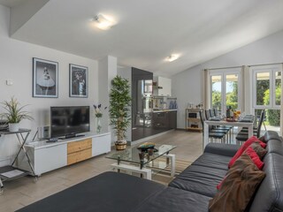 Villa Svetvinčenat Caratteristiche 8