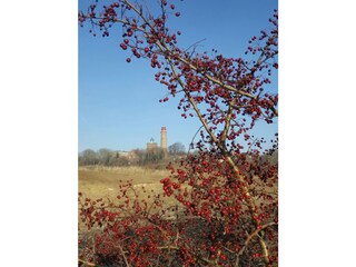 Die Leuchttürme von Kap Argon