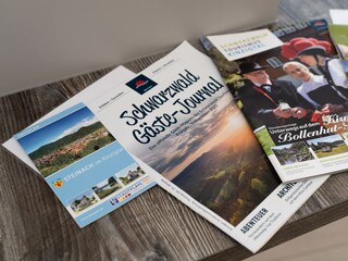 Appartement de vacances Steinach im Kinzigtal Équipement 36