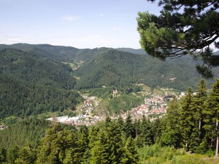 Apartamento de vacaciones Steinach im Kinzigtal Entorno 19