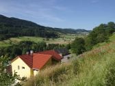 Sommer in Steinach, Blick Richtung Welschensteinach