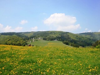 Appartamento Willingen Ambiente 32