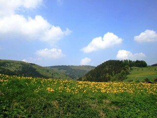 Appartamento Willingen Ambiente 33