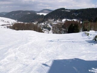 Apartment Willingen Umgebung 36
