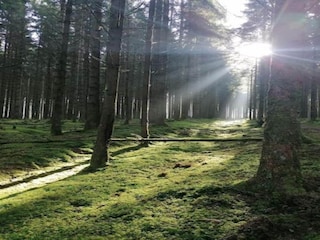 Apartamento Willingen Entorno 34