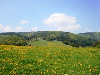 Maison de vacances Willingen Environnement 25