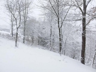 Holiday house Willingen Environment 38