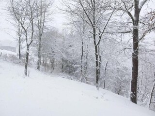 Vakantiehuis Willingen Omgeving 33