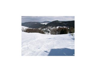 Appartement Willingen Omgeving 29