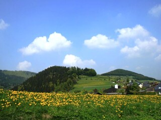 Appartamento Willingen Ambiente 27