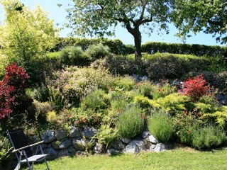 Apartamento Willingen Grabación al aire libre 7