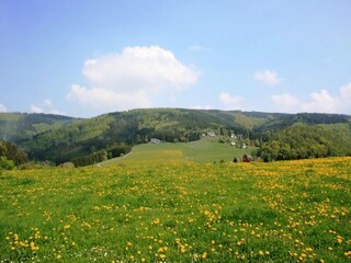 Apartment Willingen Features 23