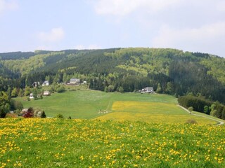 Apartment Willingen Environment 33