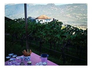 Vakantieappartement Lana Buitenaudio-opname 5