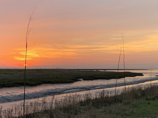 Abendstimmung am Deich