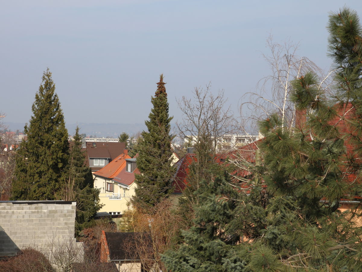 Blick in den Garten