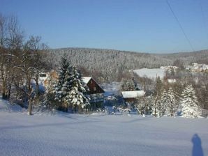 Ferienwohnung Böhme - Grünhain-Beierfeld - image1