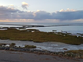 Blick ins Watt