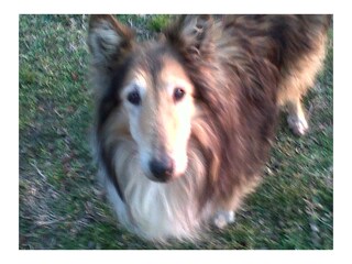 Casale Baone Registrazione all'aperto 10