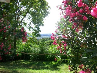 Casale Baone Registrazione all'aperto 5